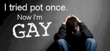 marijuana-gay-565x264.jpg