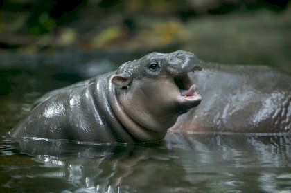 NationalGeographic_1148167[1].jpg