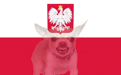 polishflag.jpg