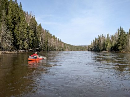 IMG_20230508_163222_946.jpg