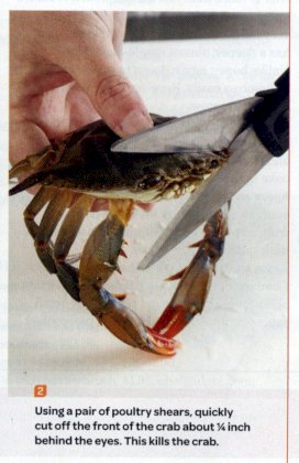 this kills the crab.jpg