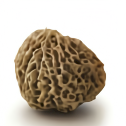 YSBzcGhlcmUgbWFkZSBvZiBtb3JlbCBtdXNocm9vbS4gYSBzcGhlcmUgd2l0aCB0aGUgdGV4dHVyZSBvZiBhIG1vcmVsIG11c2hyb29tLg==_16.png
