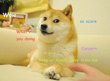 525685EB-8338-4121-BEB4-CE962D1C3267.jpeg