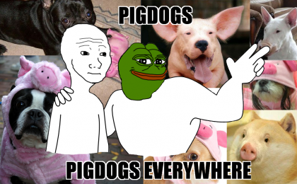 pigdogs_everyhwere.png