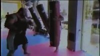 bloatwave.mp4