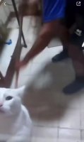 c401d83fdedf82e2.mp4