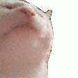 1634099864438.gif