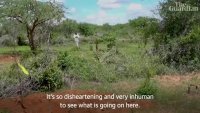 Kenya cult deaths relative of victim speaks as death toll rises to 47.mp4