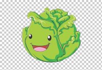 cabbage-cartoon-vegetable-illustration-cartoon-anthropomorphic-cabbage.jpg