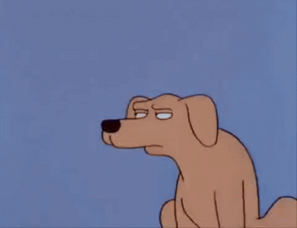 shift eyed dog.gif