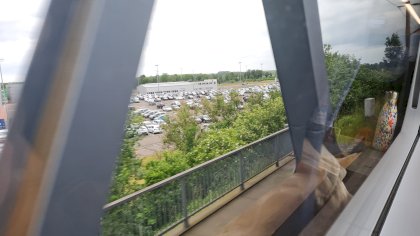 20210613_111328.jpg