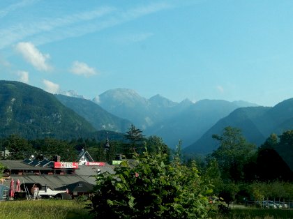 IMG_20220618_080059_6.jpg