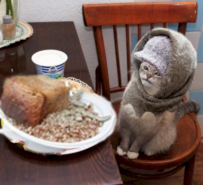 kotblini  mit buckwheat babushka4.jpg