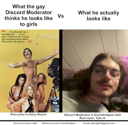 harry-reemsSpoo meme.jpg