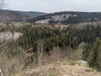 PXL_20230506_100455303.jpg