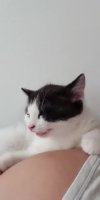 az2DPQZ_460svvp9.webm