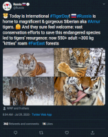 Screenshot_2020-07-30 (16) Russia ?? on Twitter ? Today is International #TigerDay ??#Russia is home to magnificent am[...].png