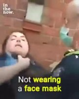 1638919341710.webm