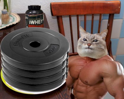 kot_blini-weight.jpg