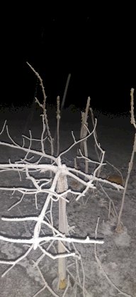 IMG_20201211_212512.jpg