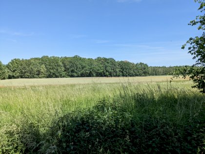 PXL_20220605_093208089.jpg
