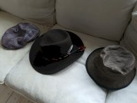 IMG_20200821_145239.jpg