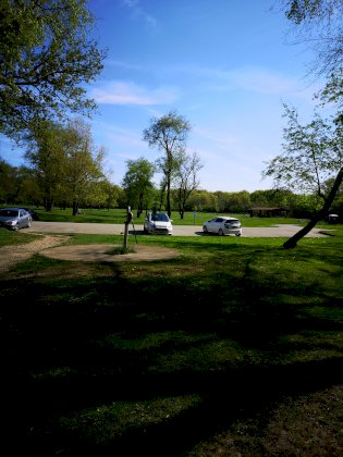 IMG_20210502_093004.jpg