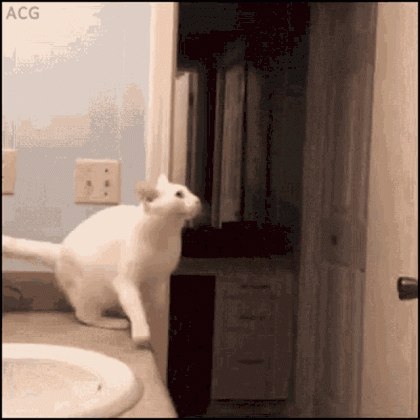 ecdd28da1ae88bd95646a76b98349acc.gif