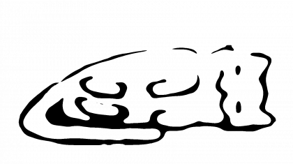 kot.png