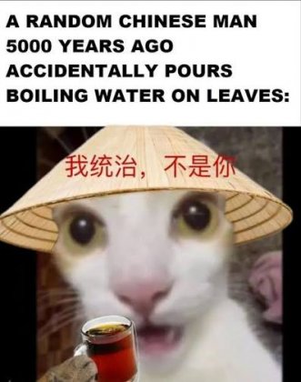 images - 2026-07-08T083712.395.jpeg