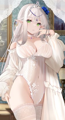 yande.re 970919 artist_revision elf leotard muka_tsuku pointy_ears see_through thighhighs.jpg
