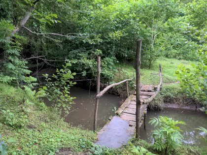 IMG_20220624_170757_836.jpg