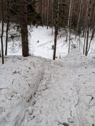 PXL_20220406_091423826.jpg