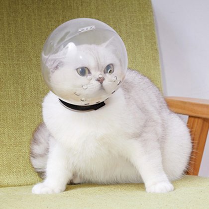 s.jpg