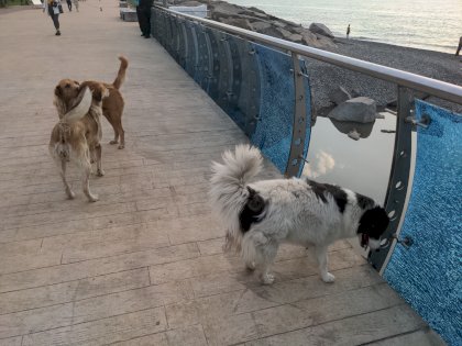 IMG_20220715_195035_630.jpg