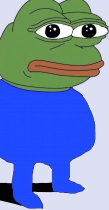 1679542585961961.jpg