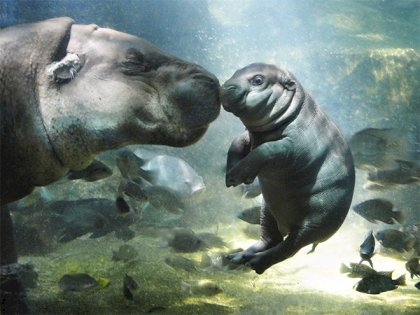 38840d251523b8bc[1].jpg