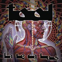 5 - Schism.opus