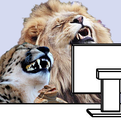 1366928929077.png