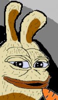 shitposting_rabbit.jpg