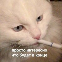 15954583487440.jpg