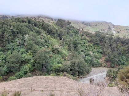 IMG_20210719_161555.jpg