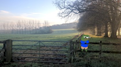 apu on fence.jpg