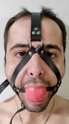 Ball-Gag-Harness.jpg
