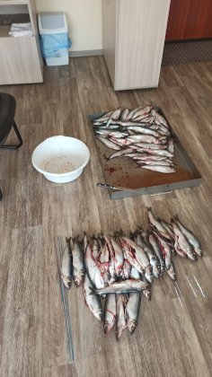 IMG_20210409_100045.jpg