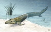 tiktaalik.mp3