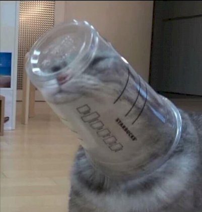 1647109627704.jpg