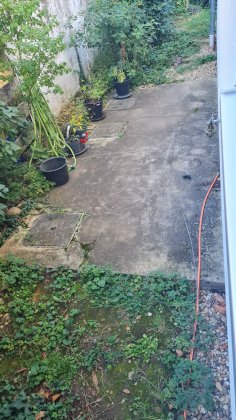 20210902_114334.jpg