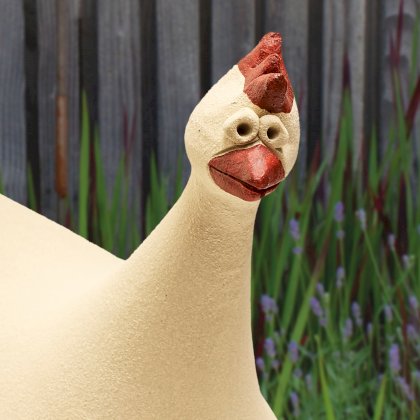 susanne-boerner-meine-kleine-farm-huhn-federlos-hahn-burschikos-39x1orn3gitxyo.jpg