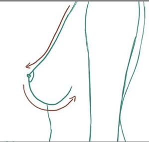 2.PNG